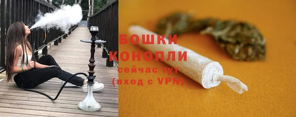 СК Медногорск