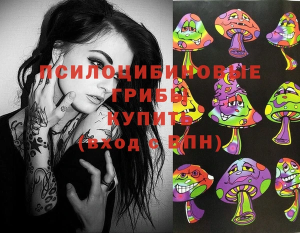 мдпв Бердск