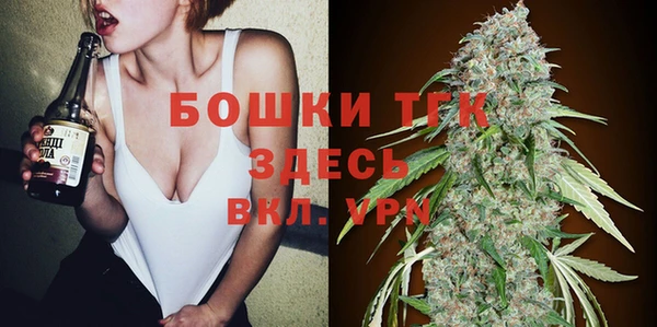 мдпв Бердск