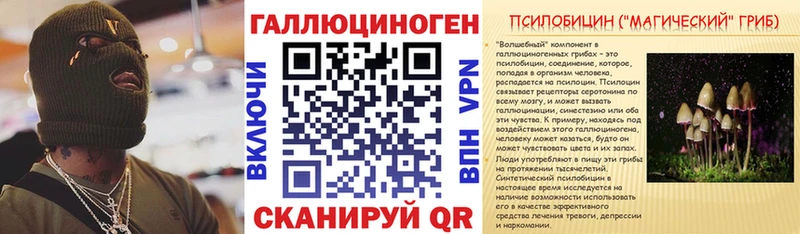 Псилоцибиновые грибы Psilocybe Кыштым